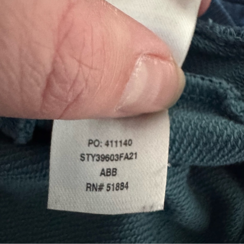 Patagonia P-6 Logo Organic Crew Sweatshirt Color: ABB - Blue and Teal Sweatshirt - Picture 7 of 10